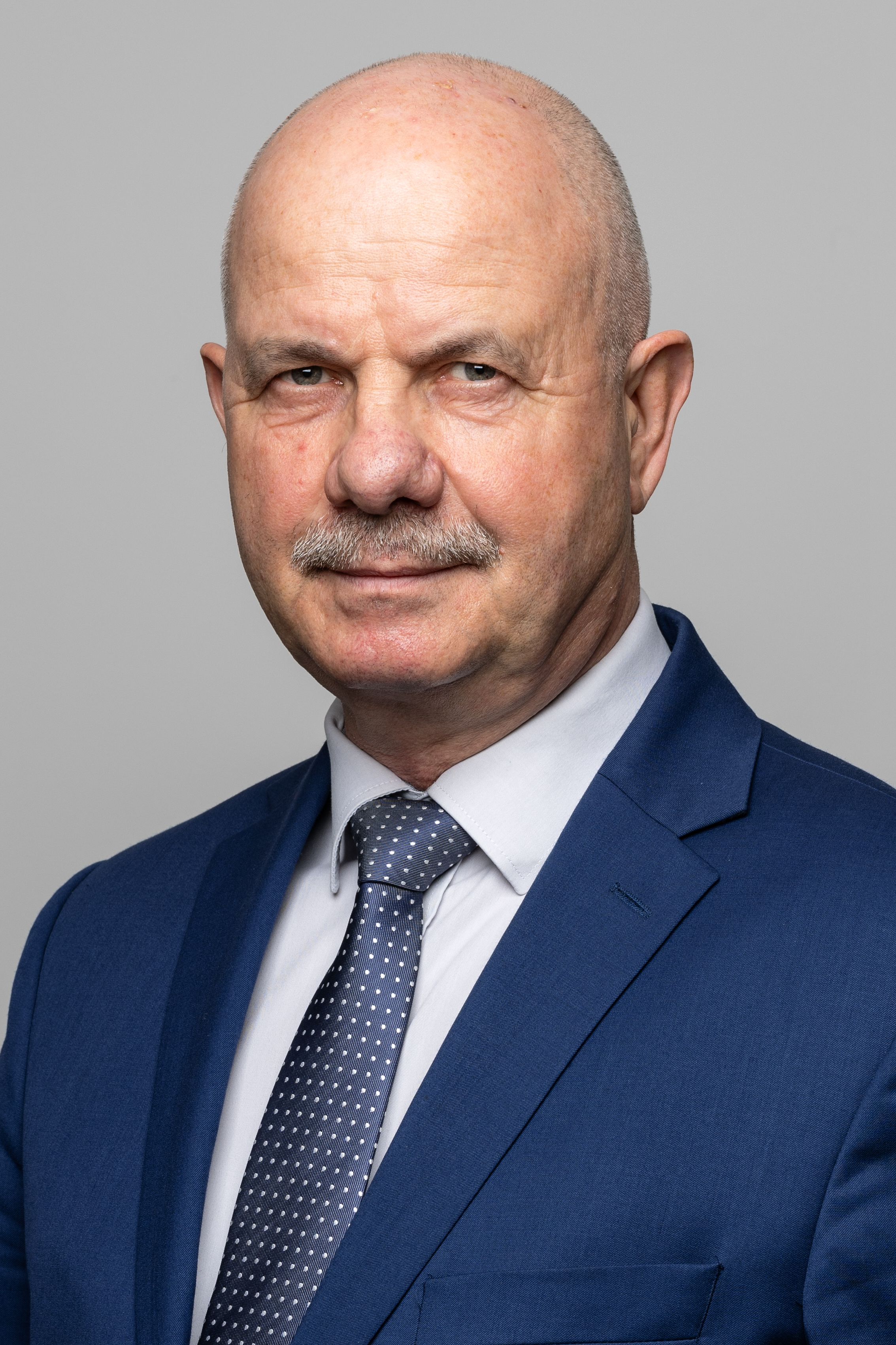 Wizerunek Przewodniczącego Rady Programowo-Konsultacyjnej OBBI.